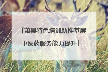 萧县特色培训助推基层中医药服务能力提升