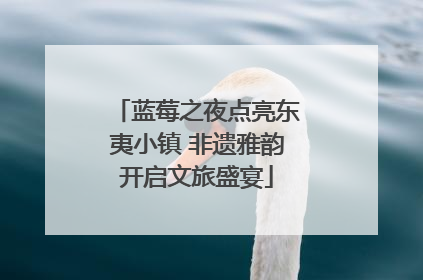 蓝莓之夜点亮东夷小镇 非遗雅韵开启文旅盛宴
