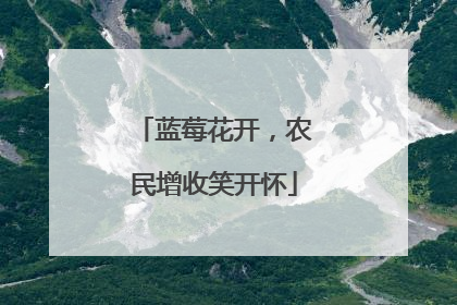 蓝莓花开，农民增收笑开怀