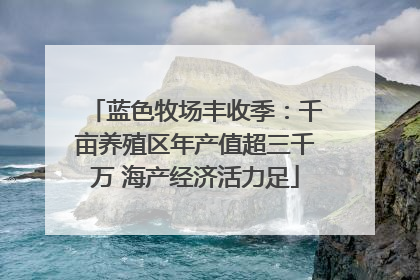 蓝色牧场丰收季：千亩养殖区年产值超三千万 海产经济活力足