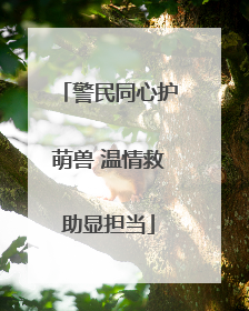 警民同心护萌兽 温情救助显担当