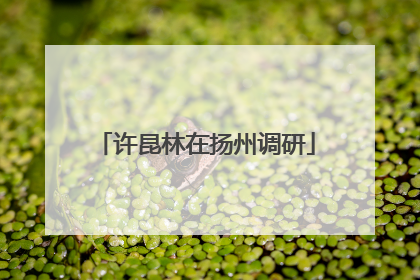 许昆林在扬州调研