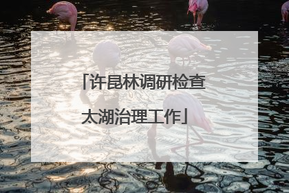 许昆林调研检查太湖治理工作
