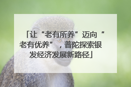 让“老有所养”迈向“老有优养”，普陀探索银发经济发展新路径