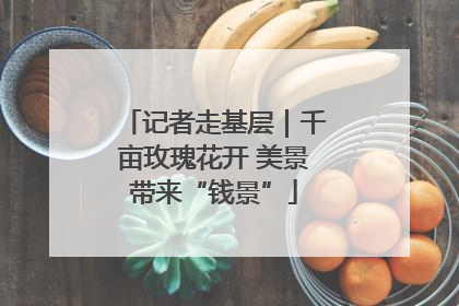 记者走基层｜千亩玫瑰花开 美景带来“钱景”