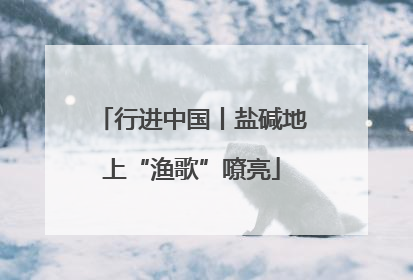 行进中国丨盐碱地上“渔歌”嘹亮