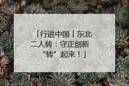 行进中国丨东北二人转：守正创新“转”起来！