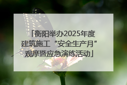 衡阳举办2025年度建筑施工“安全生产月”观摩暨应急演练活动