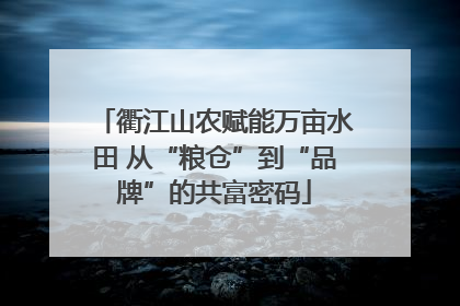衢江山农赋能万亩水田 从“粮仓”到“品牌”的共富密码