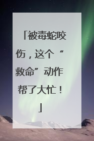 被毒蛇咬伤，这个“救命”动作帮了大忙！