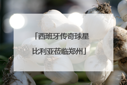 西班牙传奇球星 比利亚莅临郑州
