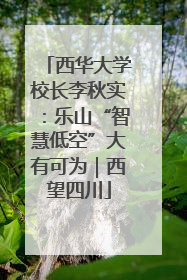 西华大学校长李秋实：乐山“智慧低空”大有可为｜西望四川