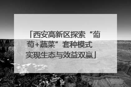 西安高新区探索“葡萄+蔬菜”套种模式 实现生态与效益双赢