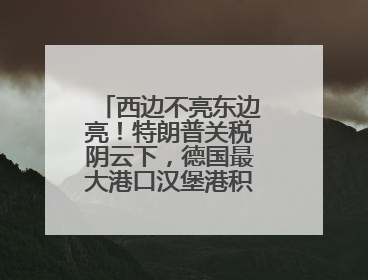 西边不亮东边亮！特朗普关税阴云下，德国最大港口汉堡港积极“向东看”