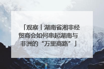 观察丨湖南省湘非经贸商会如何串起湖南与非洲的“万里商路”