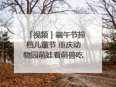 视频｜端午节撞档儿童节 重庆动物园萌娃看萌兽吃特色粽子大餐