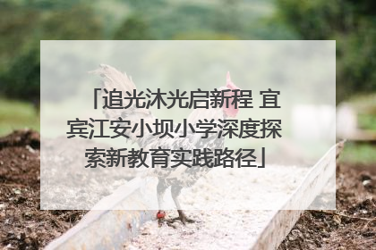追光沐光启新程 宜宾江安小坝小学深度探索新教育实践路径