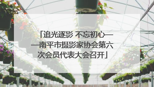 追光逐影 不忘初心——南平市摄影家协会第六次会员代表大会召开