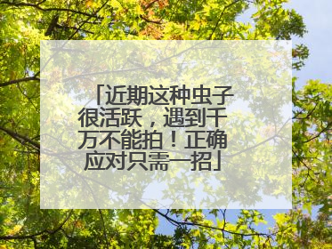 近期这种虫子很活跃，遇到千万不能拍！正确应对只需一招