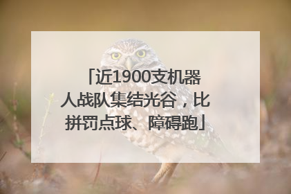 近1900支机器人战队集结光谷，比拼罚点球、障碍跑