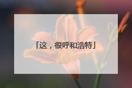 这，很呼和浩特