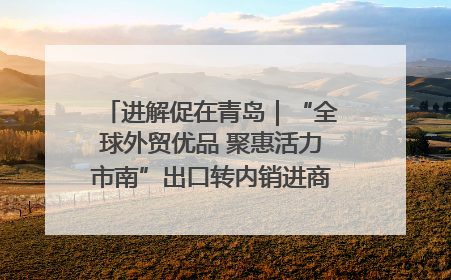 进解促在青岛｜“全球外贸优品 聚惠活力市南”出口转内销进商超专场活动启动