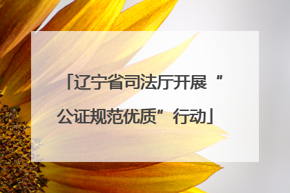 辽宁省司法厅开展“公证规范优质”行动