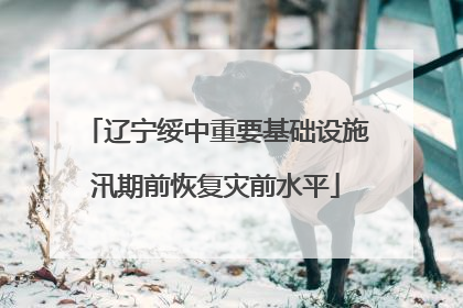 辽宁绥中重要基础设施汛期前恢复灾前水平