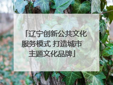 辽宁创新公共文化服务模式 打造城市主题文化品牌