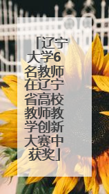 辽宁大学6名教师在辽宁省高校教师教学创新大赛中获奖