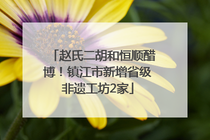 赵氏二胡和恒顺醋博！镇江市新增省级非遗工坊2家