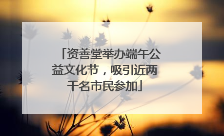 资善堂举办端午公益文化节，吸引近两千名市民参加
