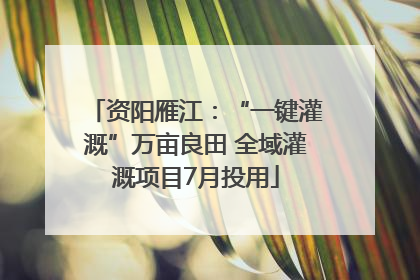 资阳雁江：“一键灌溉”万亩良田 全域灌溉项目7月投用