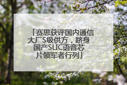 赛思获评国内通信大厂S级供方，跻身国产SLIC语音芯片领军者行列