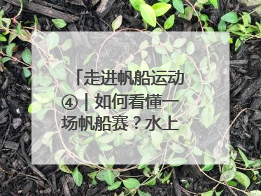 走进帆船运动④｜如何看懂一场帆船赛？水上的“速度与激情”同样精彩