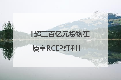 超三百亿元货物在厦享RCEP红利