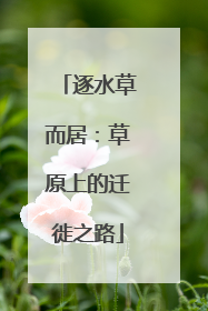 逐水草而居：草原上的迁徙之路