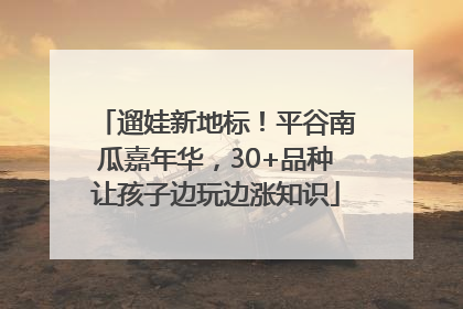 遛娃新地标！平谷南瓜嘉年华，30+品种让孩子边玩边涨知识