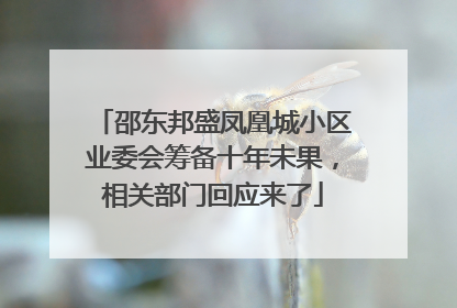 邵东邦盛凤凰城小区业委会筹备十年未果，相关部门回应来了