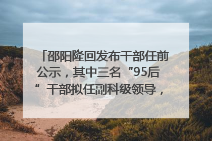 邵阳隆回发布干部任前公示，其中三名“95后”干部拟任副科级领导，均系硕士选调生