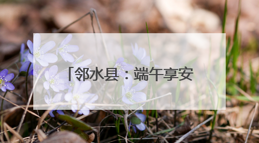 邻水县：端午享安康 无毒幸福长