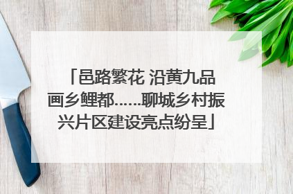 邑路繁花 沿黄九品 画乡鲤都……聊城乡村振兴片区建设亮点纷呈
