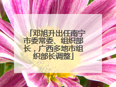 邓旭升出任南宁市委常委、组织部长，广西多地市组织部长调整