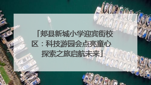 郏县新城小学迎宾街校区：科技游园会点亮童心 探索之旅启航未来