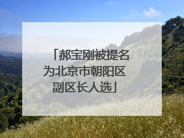 郝宝刚被提名为北京市朝阳区副区长人选