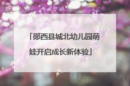 郧西县城北幼儿园萌娃开启成长新体验