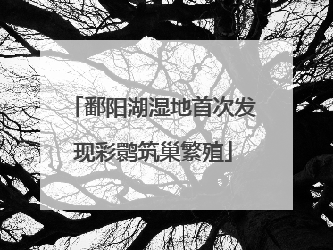 鄱阳湖湿地首次发现彩鹮筑巢繁殖