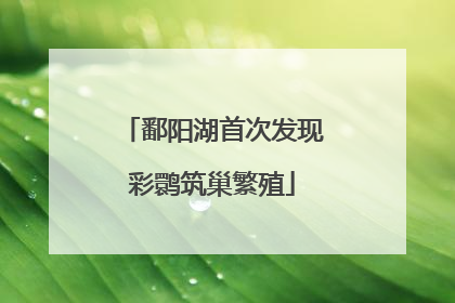 鄱阳湖首次发现彩鹮筑巢繁殖