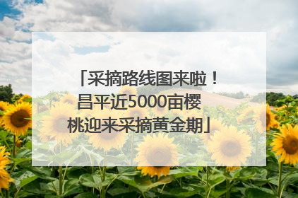 采摘路线图来啦！昌平近5000亩樱桃迎来采摘黄金期