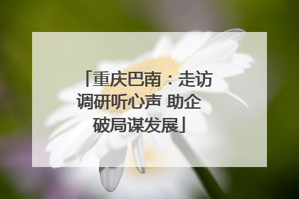 重庆巴南：走访调研听心声 助企破局谋发展